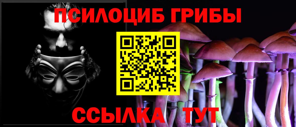 Галлюциногенные грибы MAGIC MUSHROOMS  Галлюциногенные грибы мухоморы  Бор  Вход с VPN 